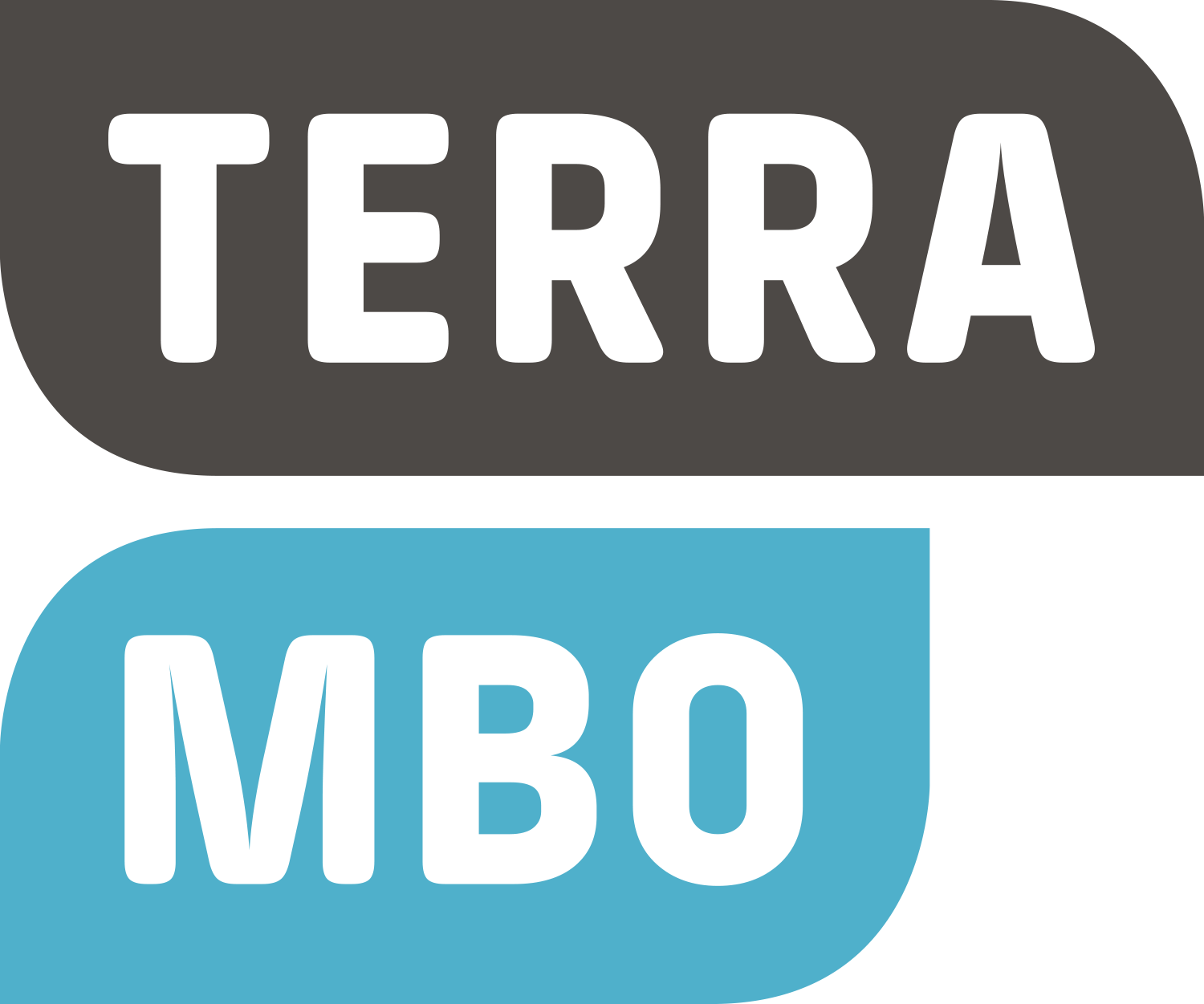 Terra MBO - KiesMBO